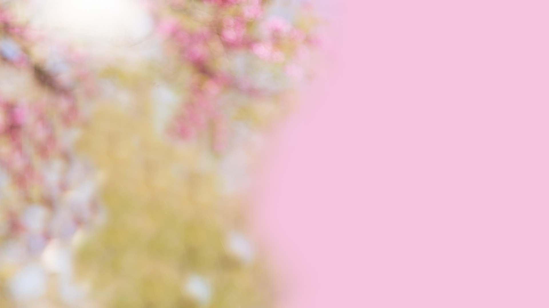 Fondo-solo-perfume-para-el-cabello